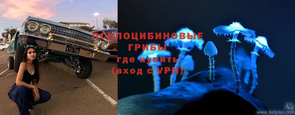гидропоника Липки