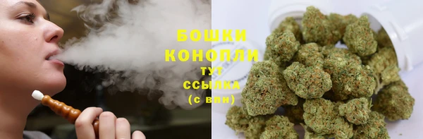ПСИЛОЦИБИНОВЫЕ ГРИБЫ Лиски