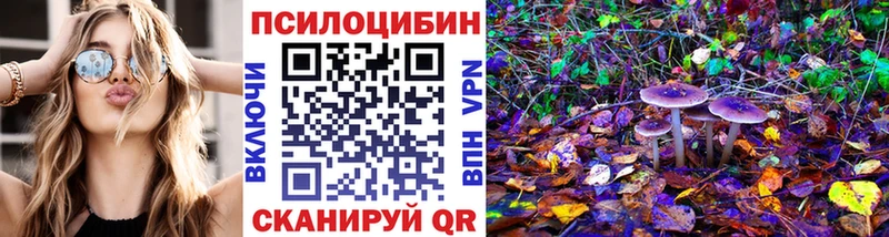 kraken зеркало Туран Галлюциногенные грибы Psilocybe